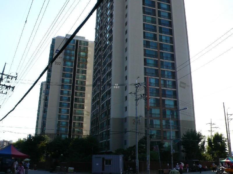 P1000554