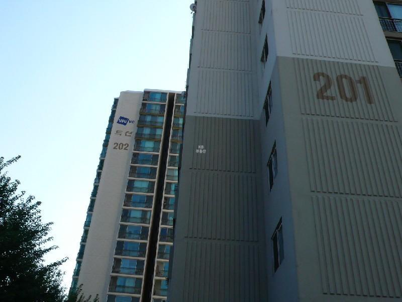 P1000560