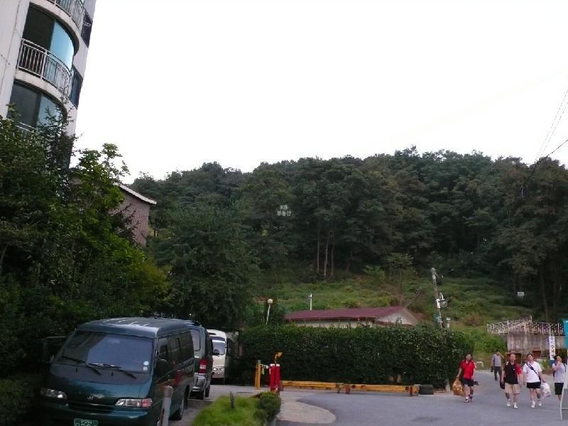 P1000774