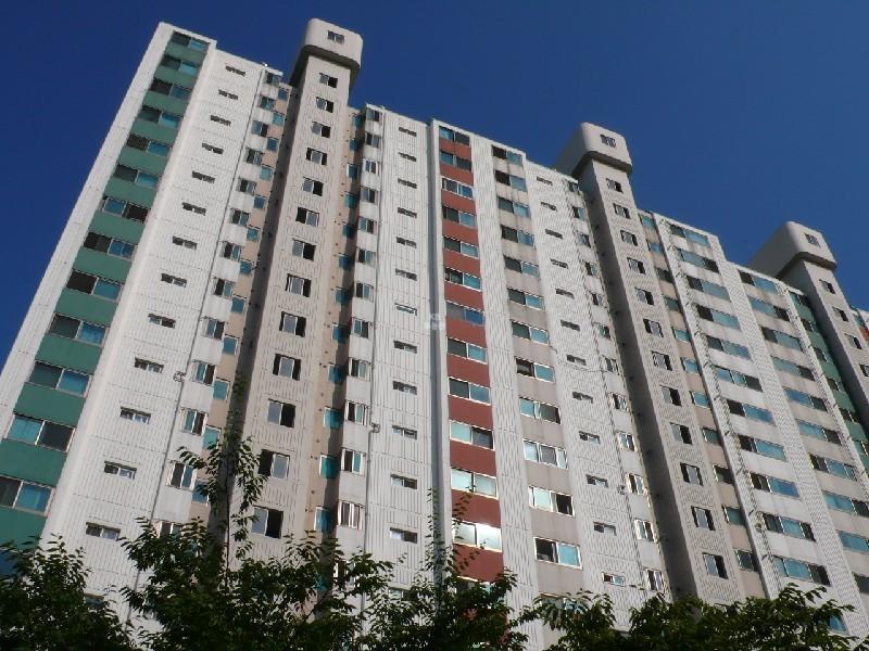 P1000598