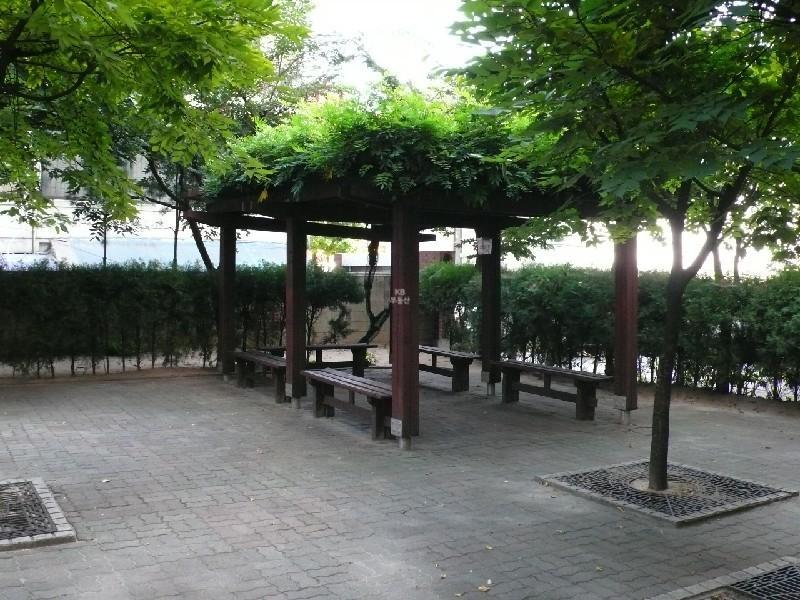 P1000816