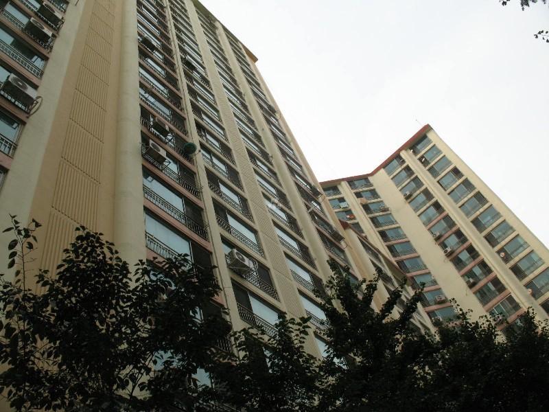 사진 054