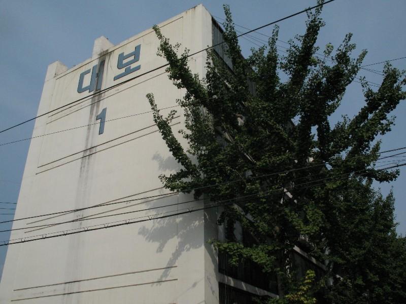 사진 278