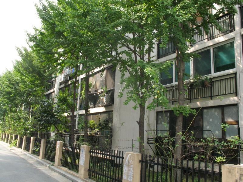 사진 281