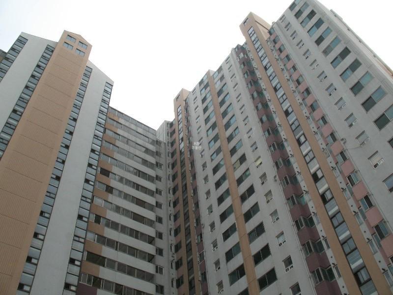 사진 190