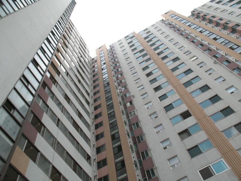 사진 195