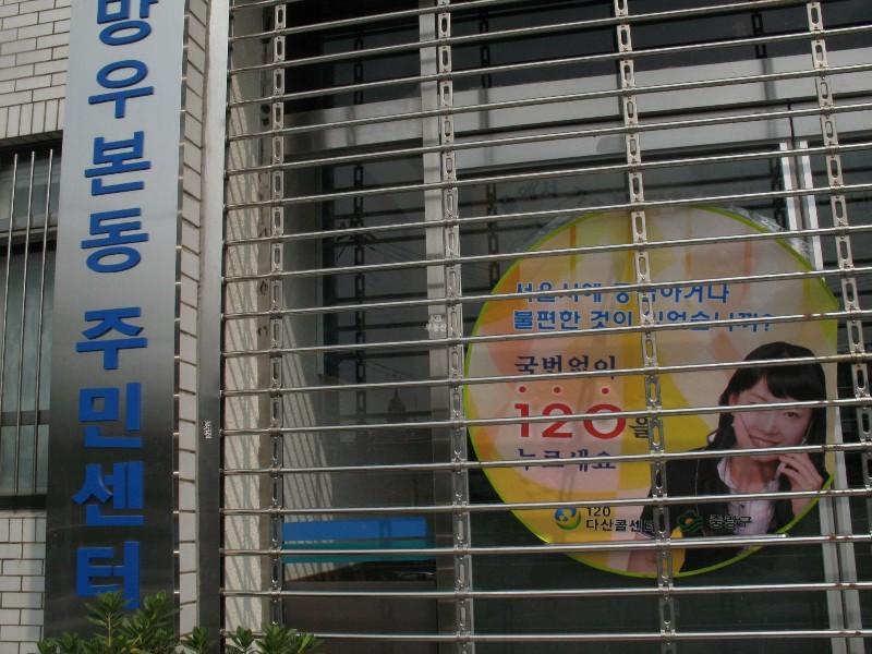 사진 203