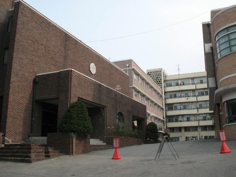 사진 100