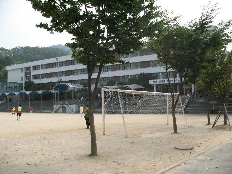 사진 146