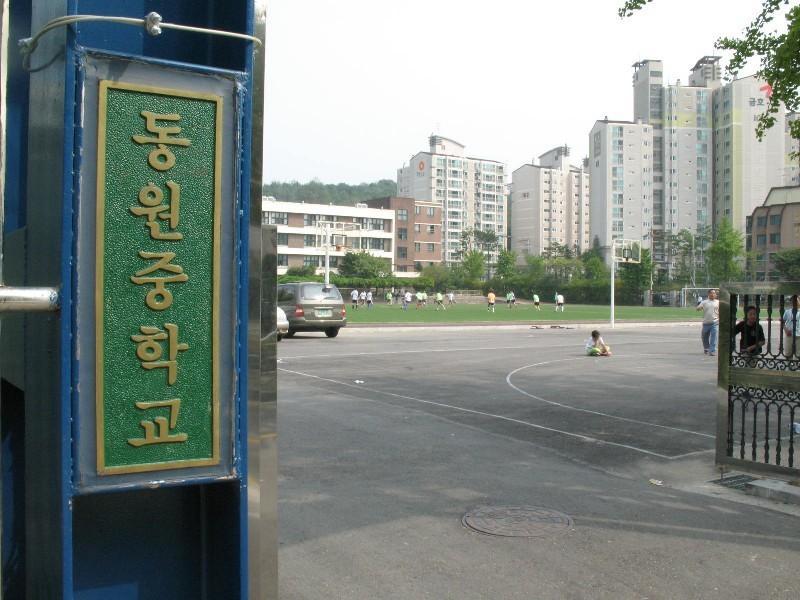 사진 259