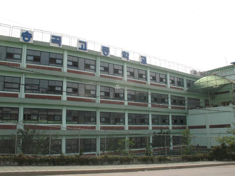 사진 264