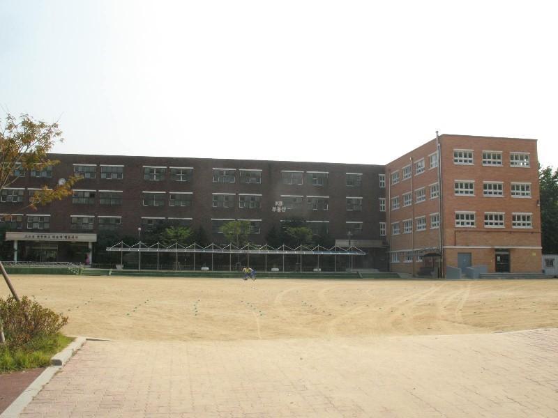 사진 305