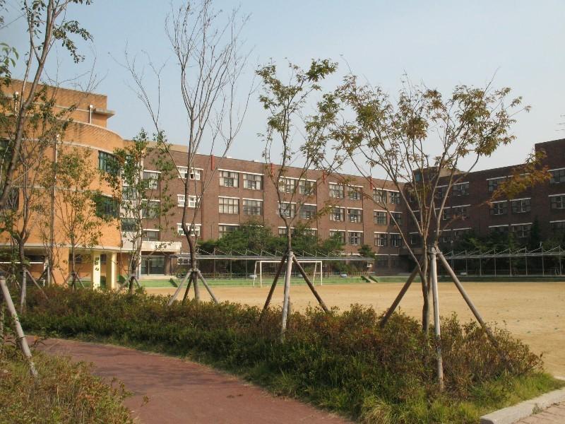 사진 306