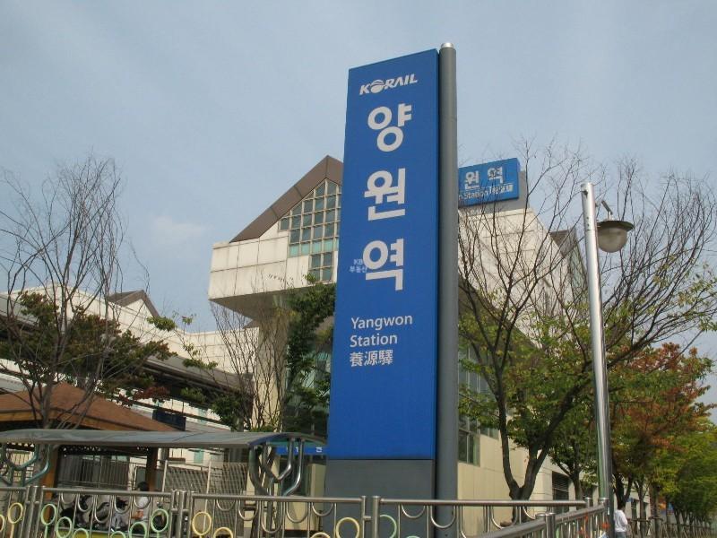 사진 263