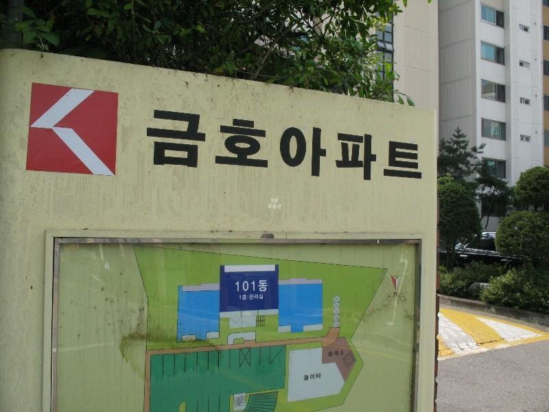 사진 181