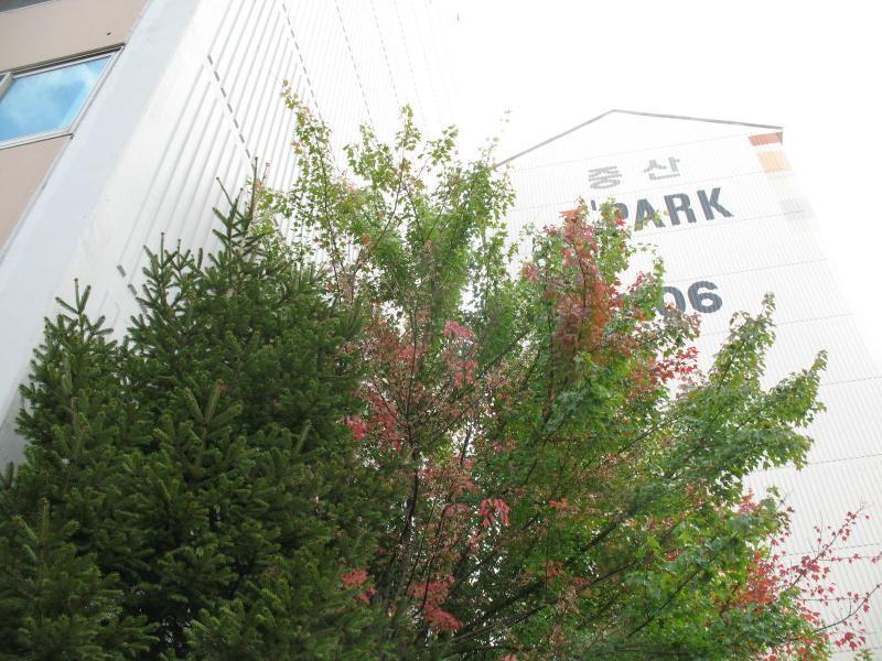 중산11단지현대_단지사진_단지기본