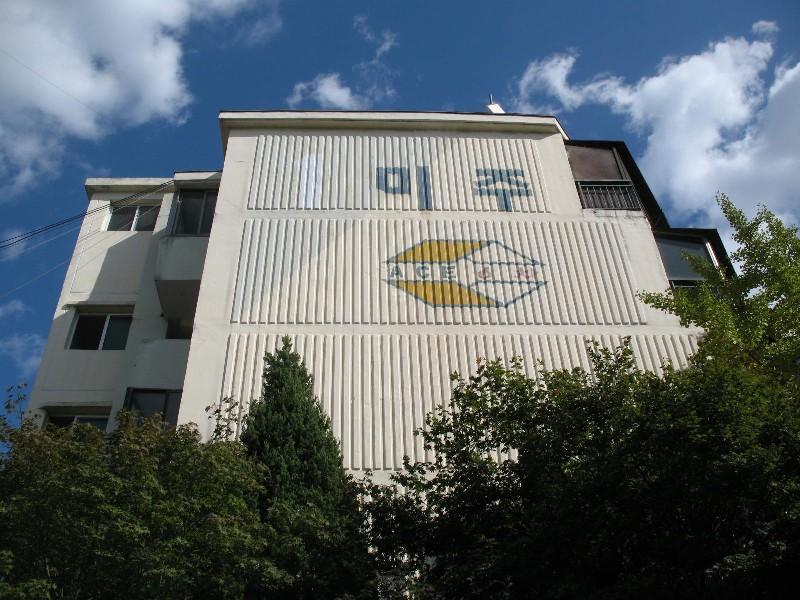 사진 354
