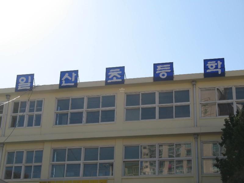 사진 311
