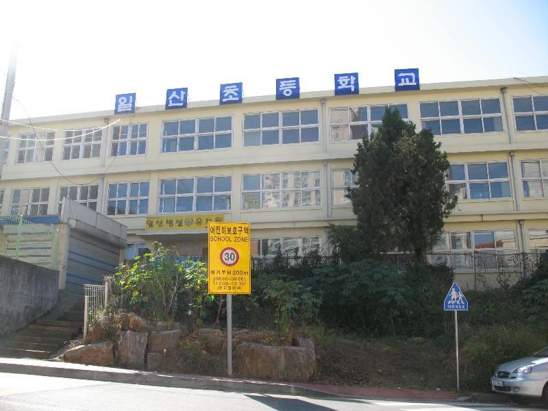 사진 312