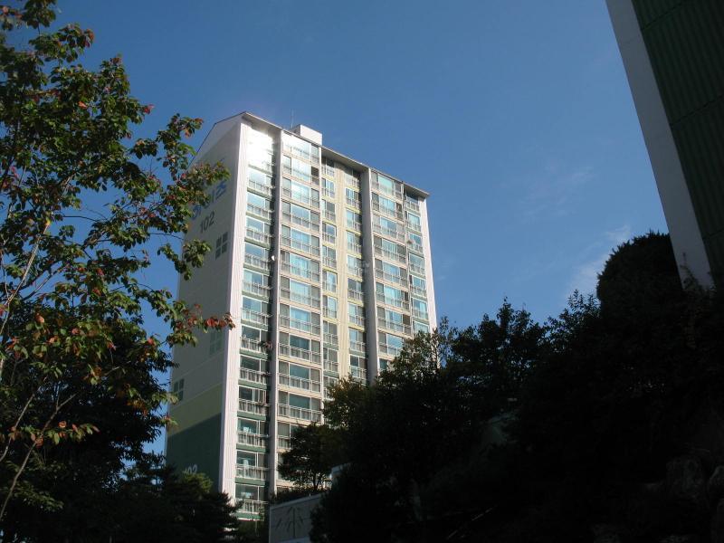 중앙하이츠빌_단지사진_단지기본