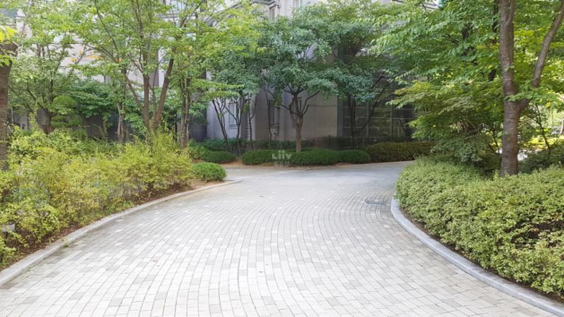 단지 내 보행로 및 산책로에요