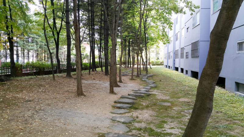 식사 후 산책하기도 좋고, 반려견을 산책시킬때도 좋은 단지 내 산책로네요