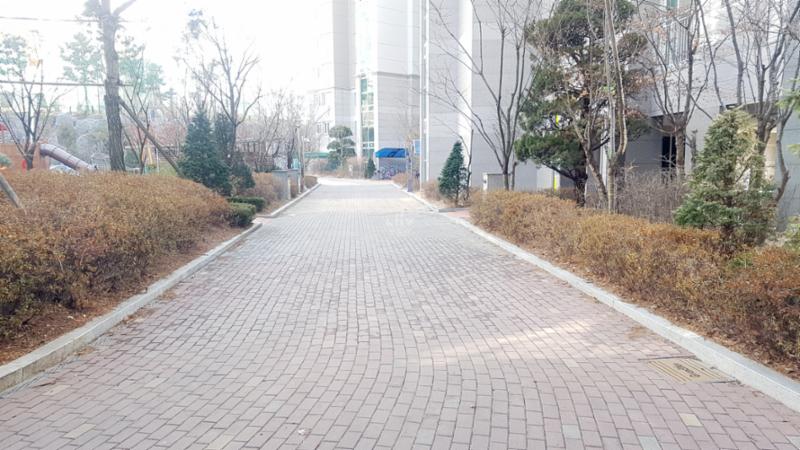 단지 내 도로이에요