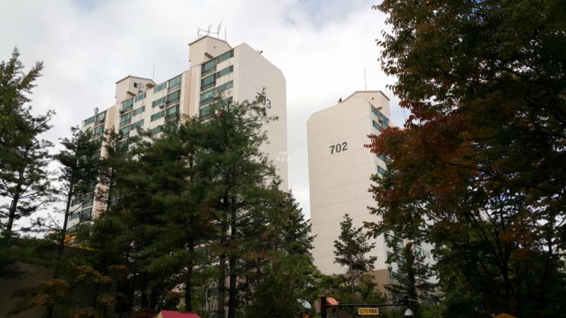 전체적으로 화사하면서도 밝은 느낌을 주는 단지 전경이에요