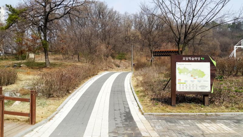 우거진 수풀로 꾸며져 있는 모담산공원입니다