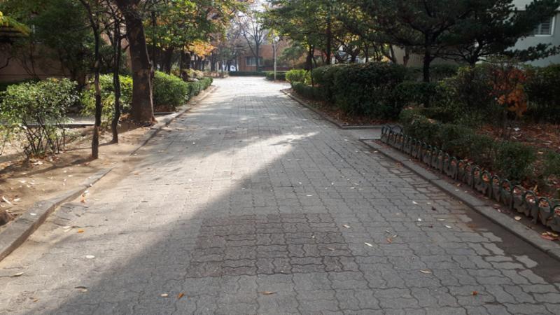 차선 없는 단지 내 도로에요