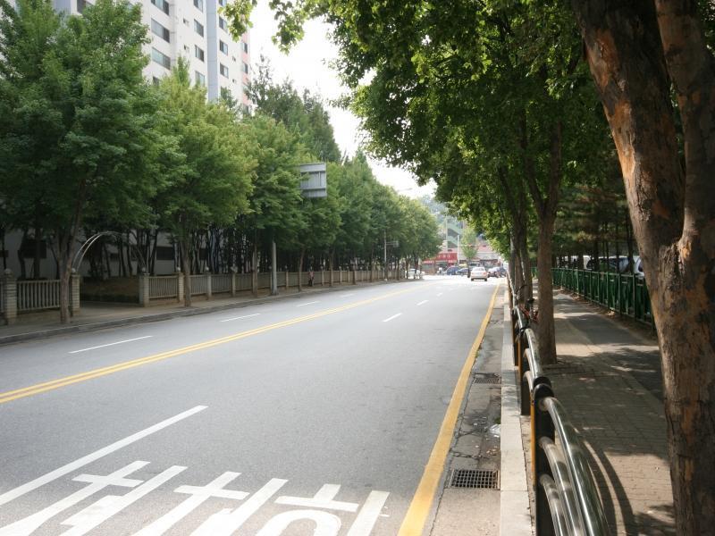 장미2길