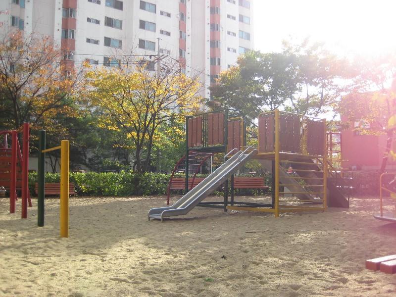 사진 495