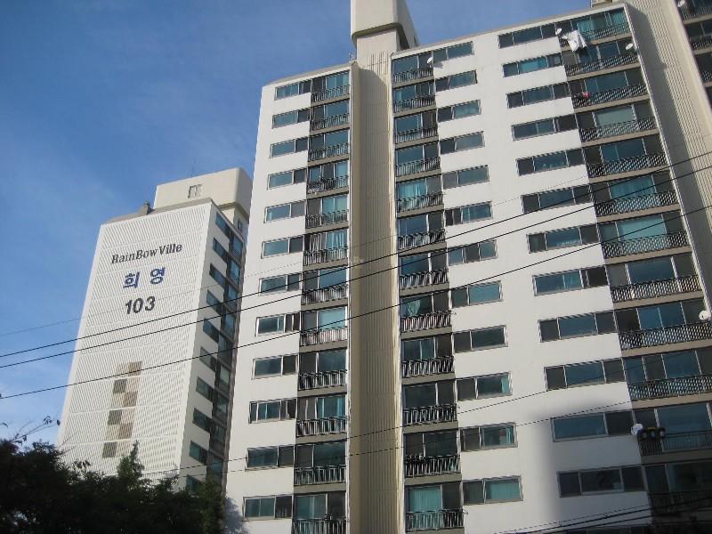 사진 488