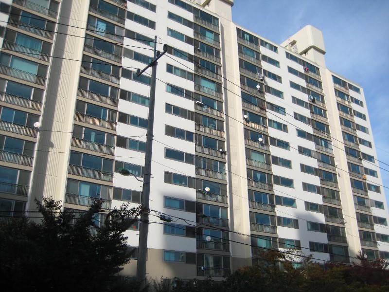 사진 489