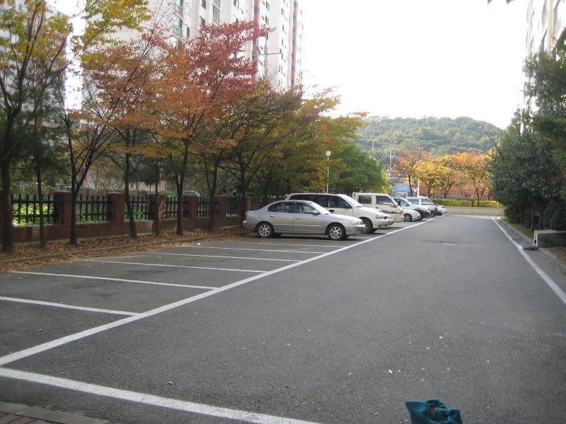 사진 492