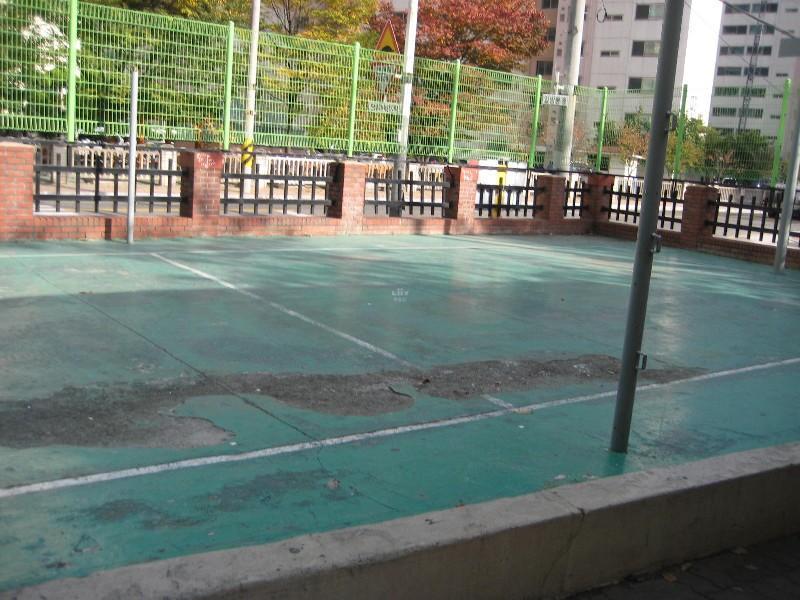 사진 490