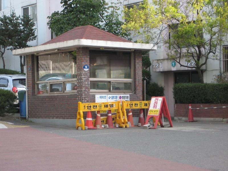 사진 515