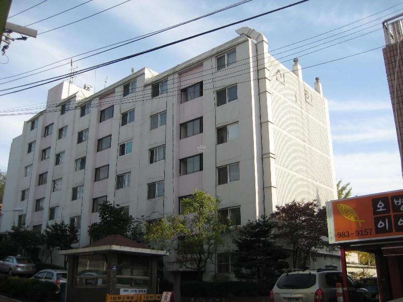 사진 514