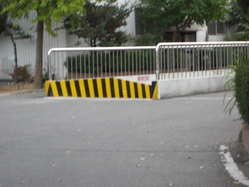 사진 520