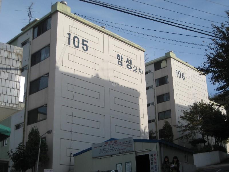 사진 501