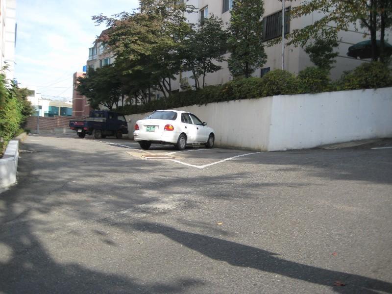사진 504