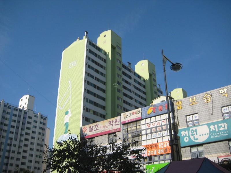 사진 146
