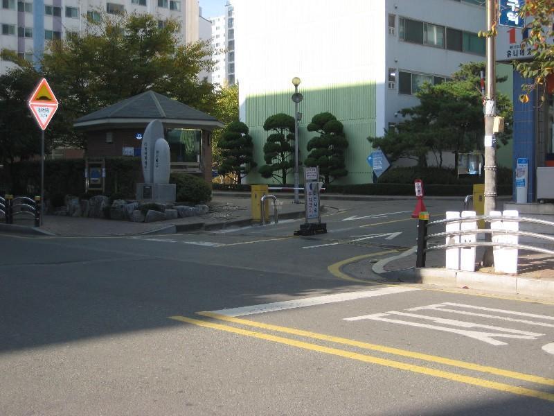 사진 147