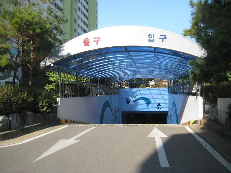사진 156