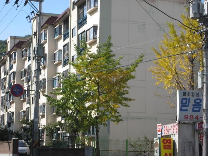 사진 276