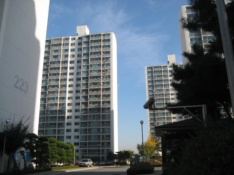 사진 124