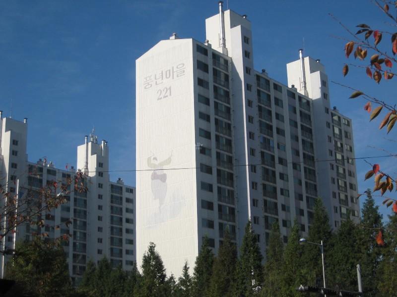 사진 116