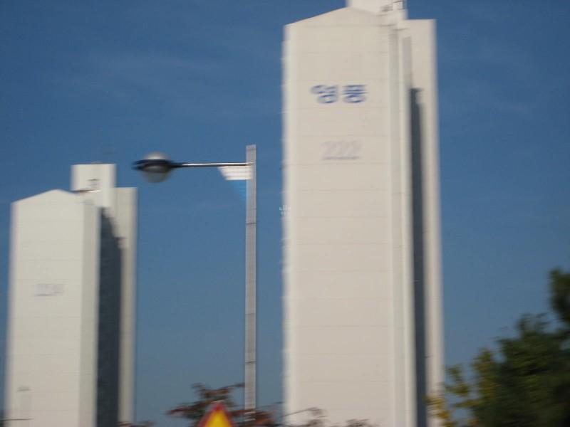 사진 115