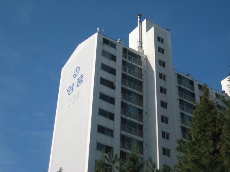 사진 118