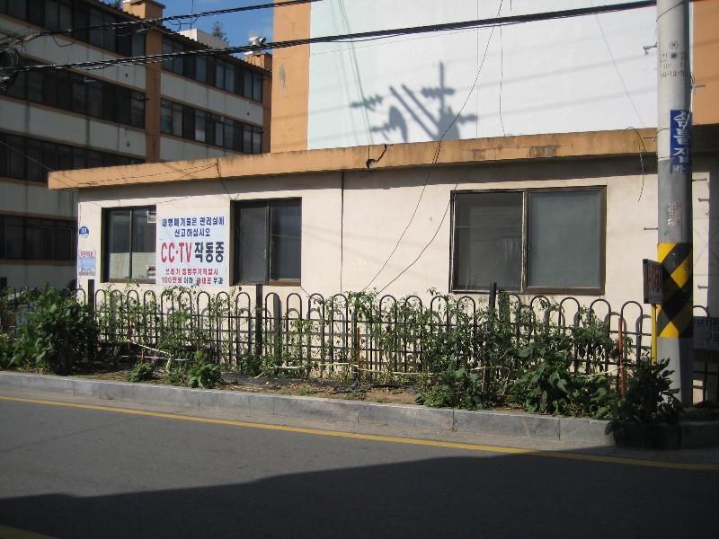 사진 272